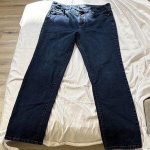 Talbots Dark Blue Straight-Leg Jeans